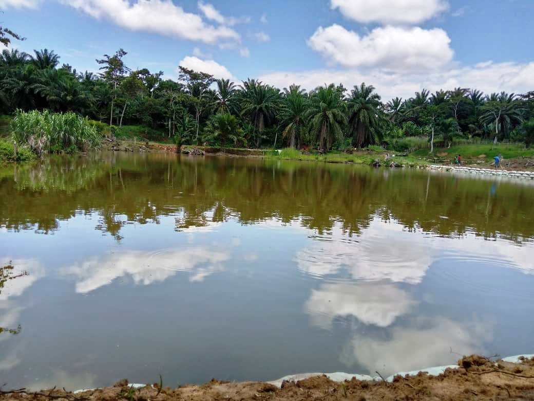 ACTIVITES DE L’ENTREPRISE